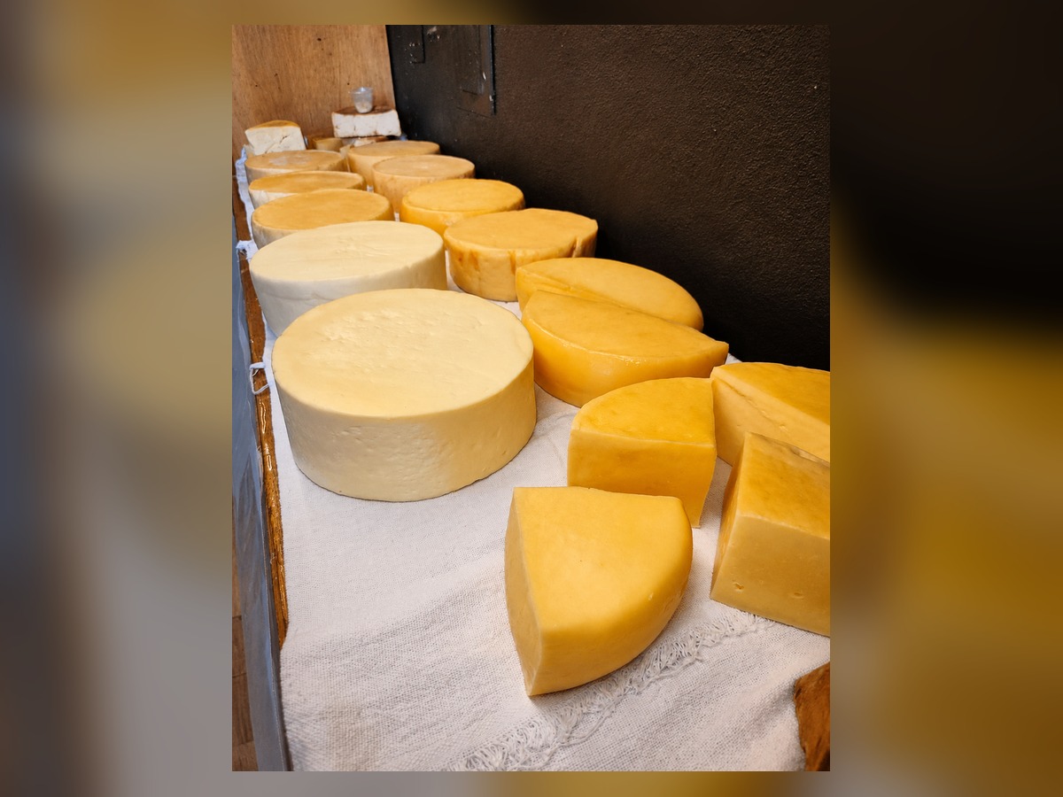 Peças de queijo artesanal mineiro curando sobre pano de algodão no Sítio do Vovô